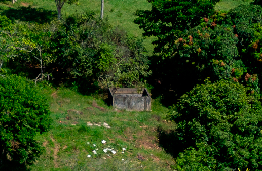 galeria